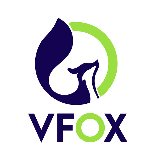 Vfox Ventures Pvt Ltd
