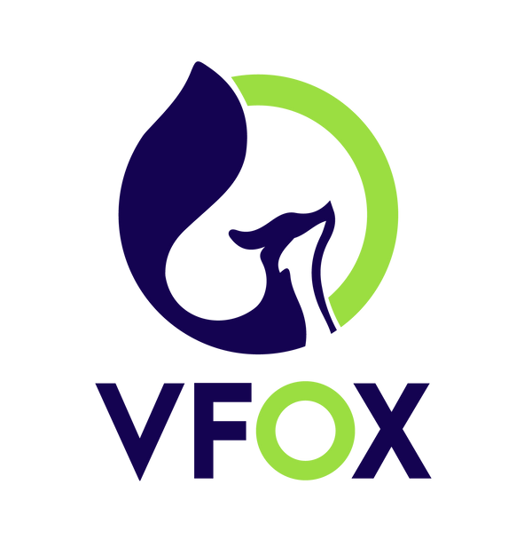 Vfox Ventures Pvt Ltd